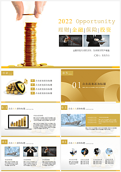 高端時尚簡約風(fēng)產(chǎn)品介紹品牌策劃PPT模板