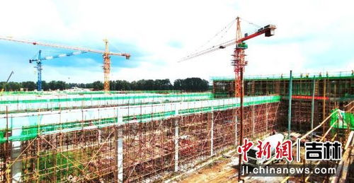 總投資3.1億元，德翔食品年加工一億只肉雞屠宰廠項目順利推進的戰略規劃與投資價值分析